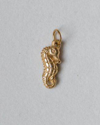 Zoe charm
